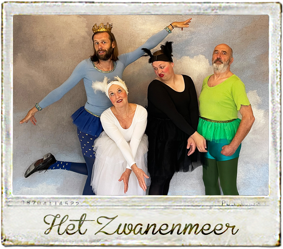 Het Zwanenmeer